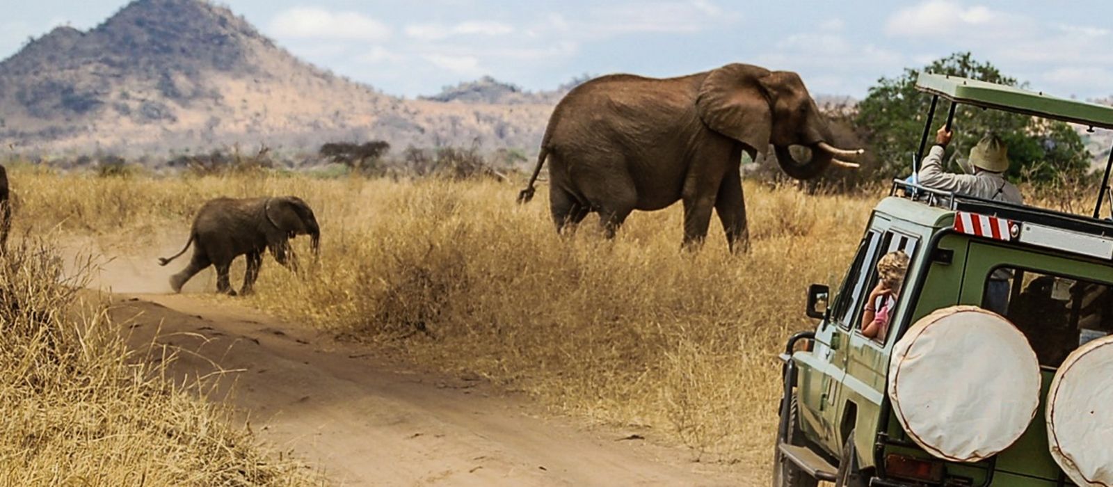 4 destinations en Afrique pour faire du Safari
